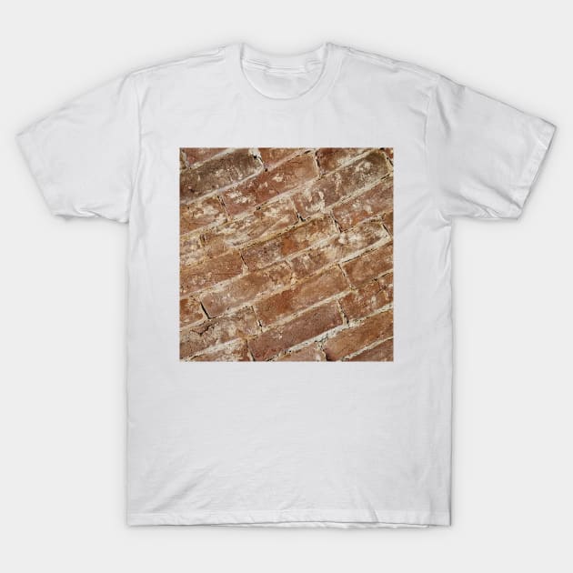 Orange Brick Wall T-Shirt by DesignMore21